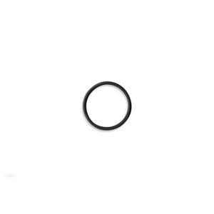 Einlassfilter-O-Ring für 28001