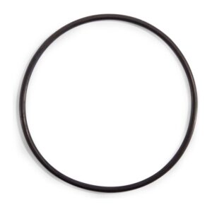 Laubfilter O-Ring für Sandfilterpumpe