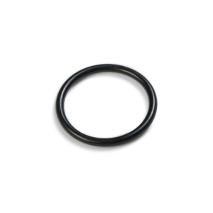 Pump Motor Inlet O-Ring