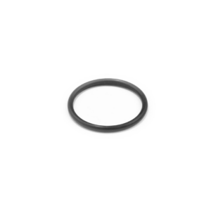 Valve O-Ring