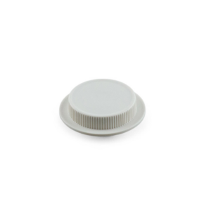 Air Release Valve